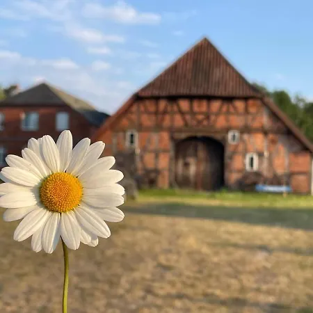 Ferienwohnung Elbsegler Bleckede Esterno foto